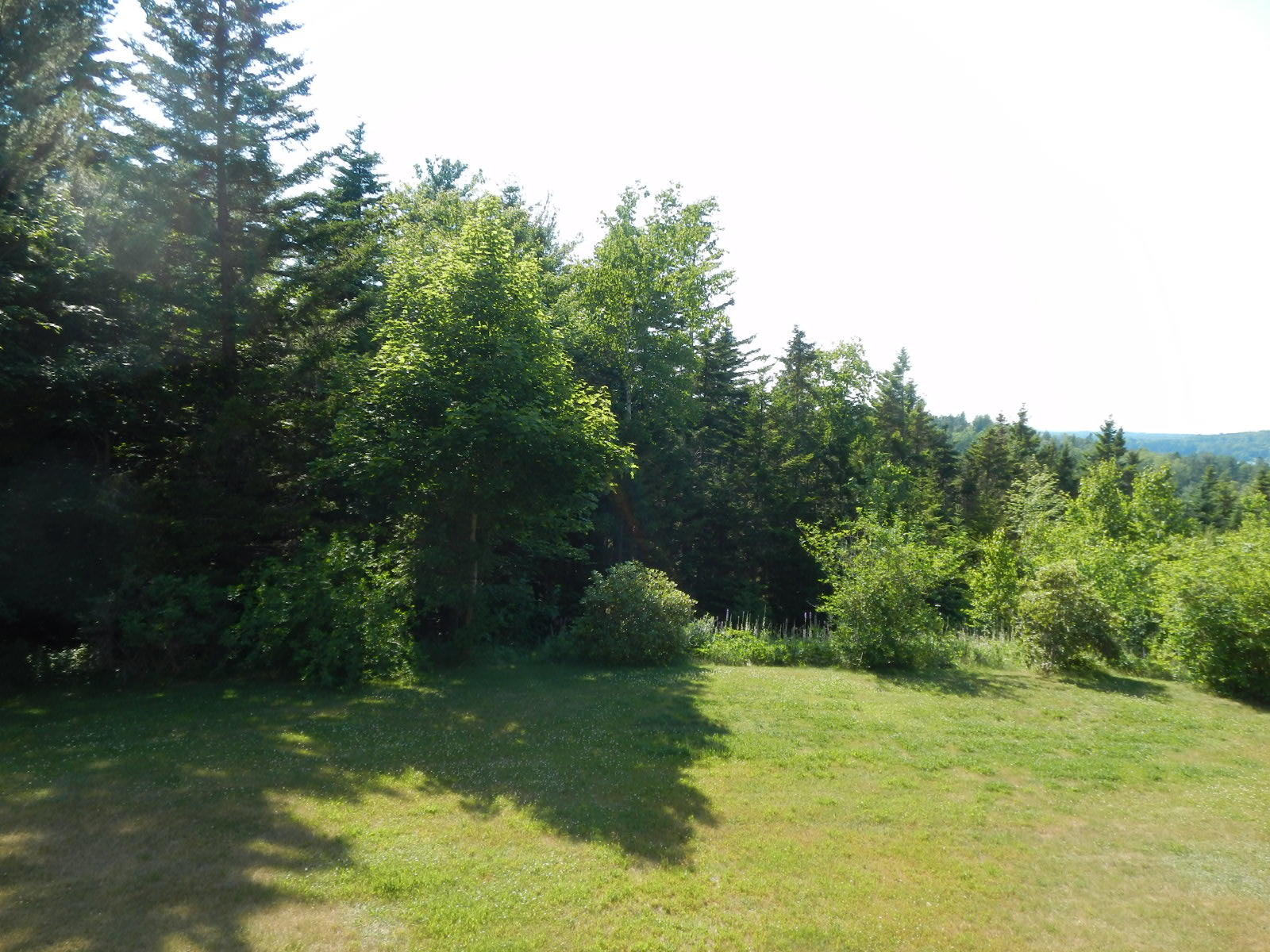 46 Fuller Road Sorrento, ME 04677 - Photo 22 of 45 Back Yard