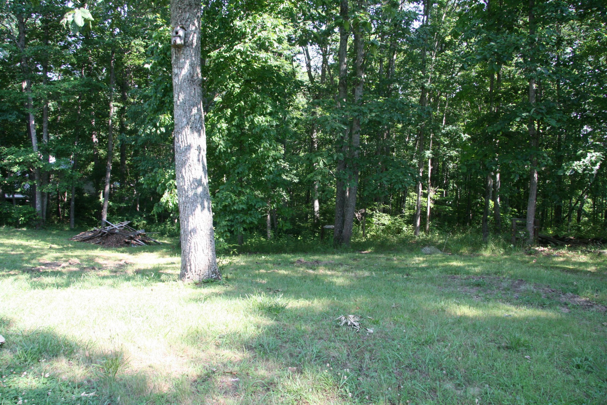 790 Rector Road Crossville, TN 38571 - Photo 5 of 14 Gallery Image 5