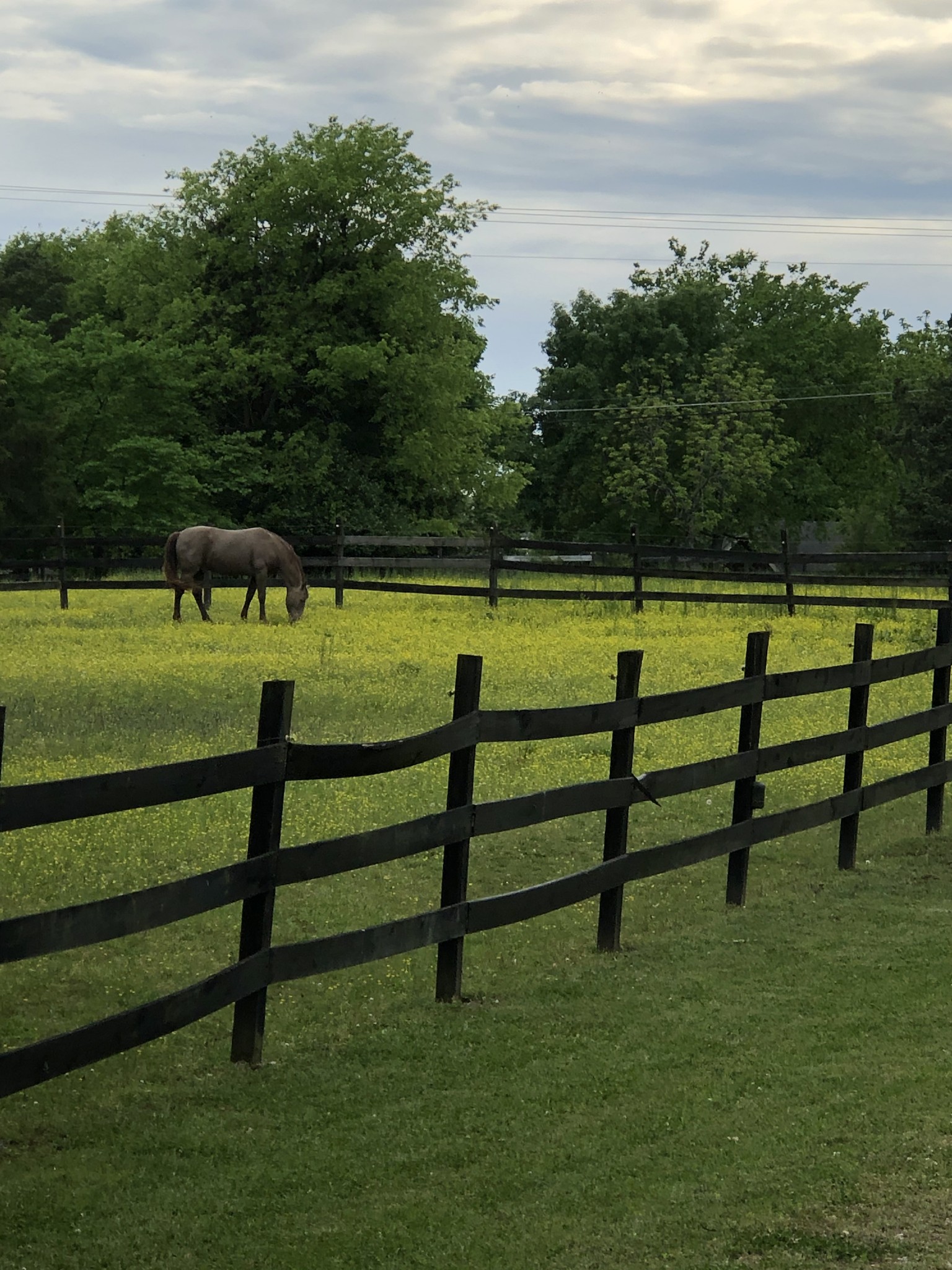 2604 Nonaville Road Mount Juliet, TN 37122 - Photo 46 of 51 Gallery Image 46
