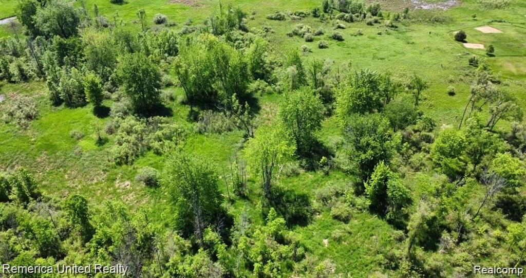 Parcel 20 Munsell Road Howell, MI 48843 - Photo 6 of 8