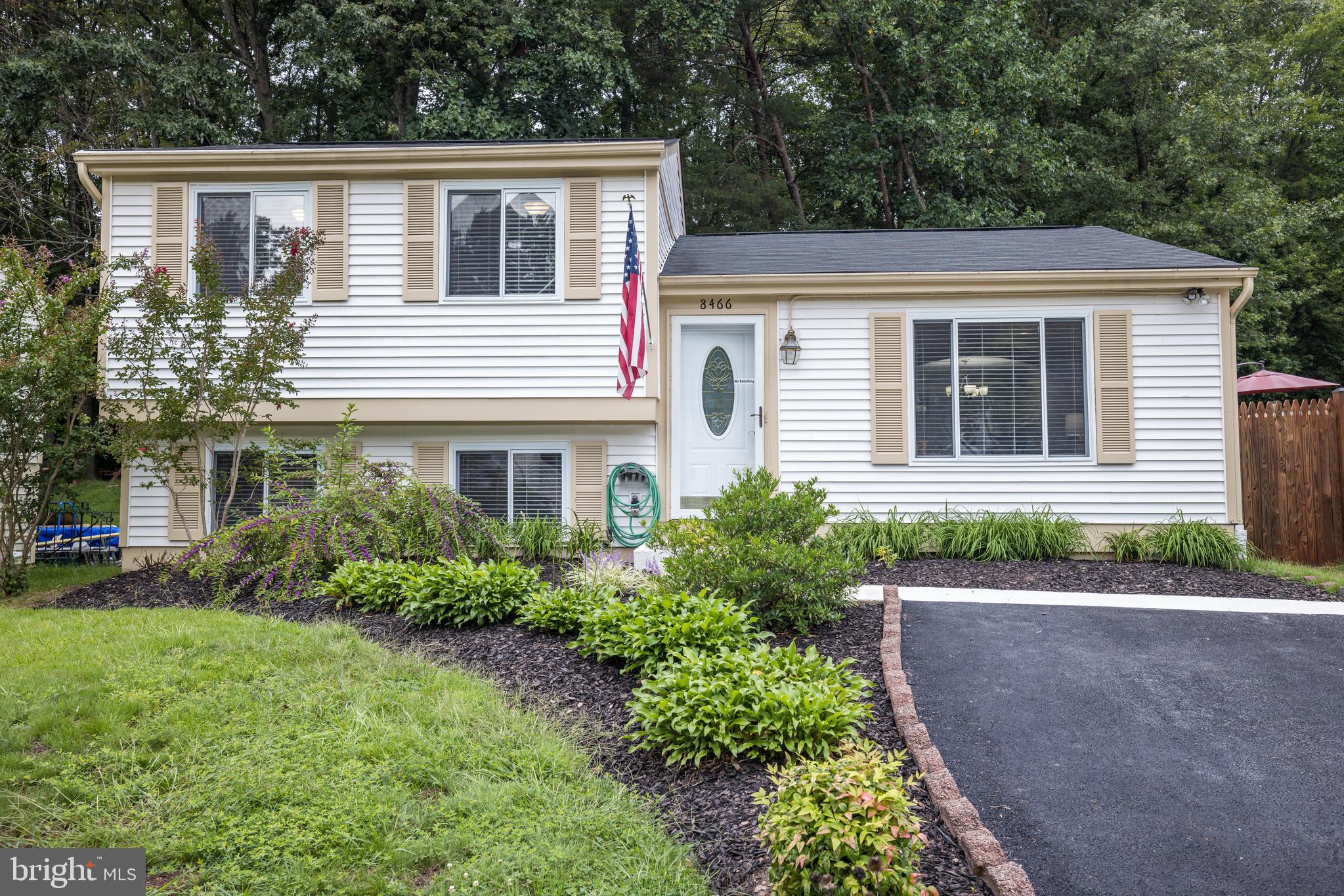 8466 Magic Tree Court Springfield, VA 22153 - Photo 1 of 35 Gallery Image 1