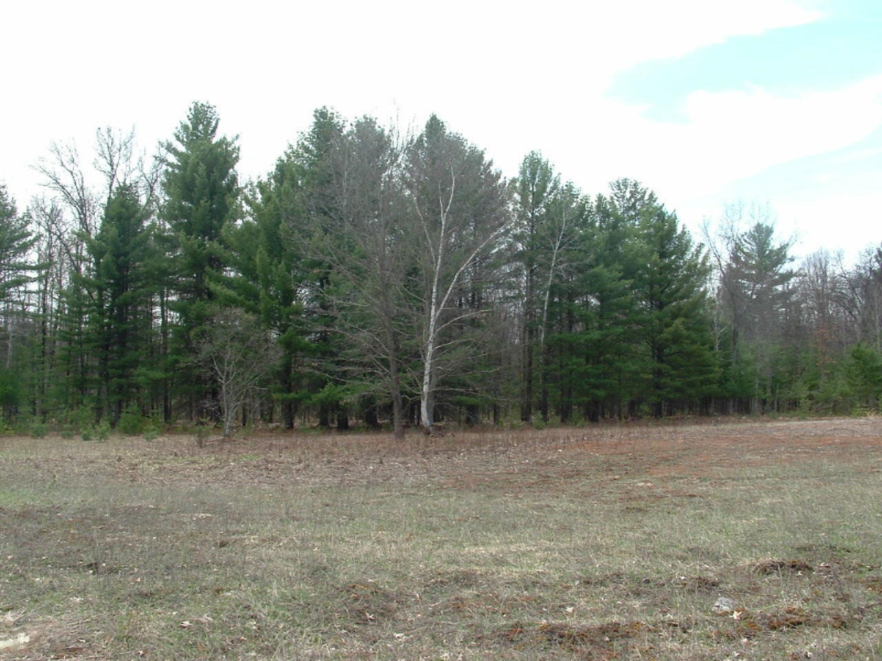 874 North High Bridge Road Wellston, MI 49689 - Photo 4 of 13 DSCF0027