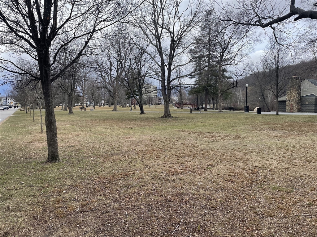 136 Russell Street, Unit 1A Worcester, MA 01609 - Photo 16 of 17 a view of a yard with trees