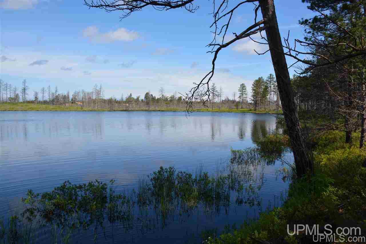 0 Off Co Road, Unit LITTLE PIKE LAKE Newberry, MI 49868 - Photo 9 of 11