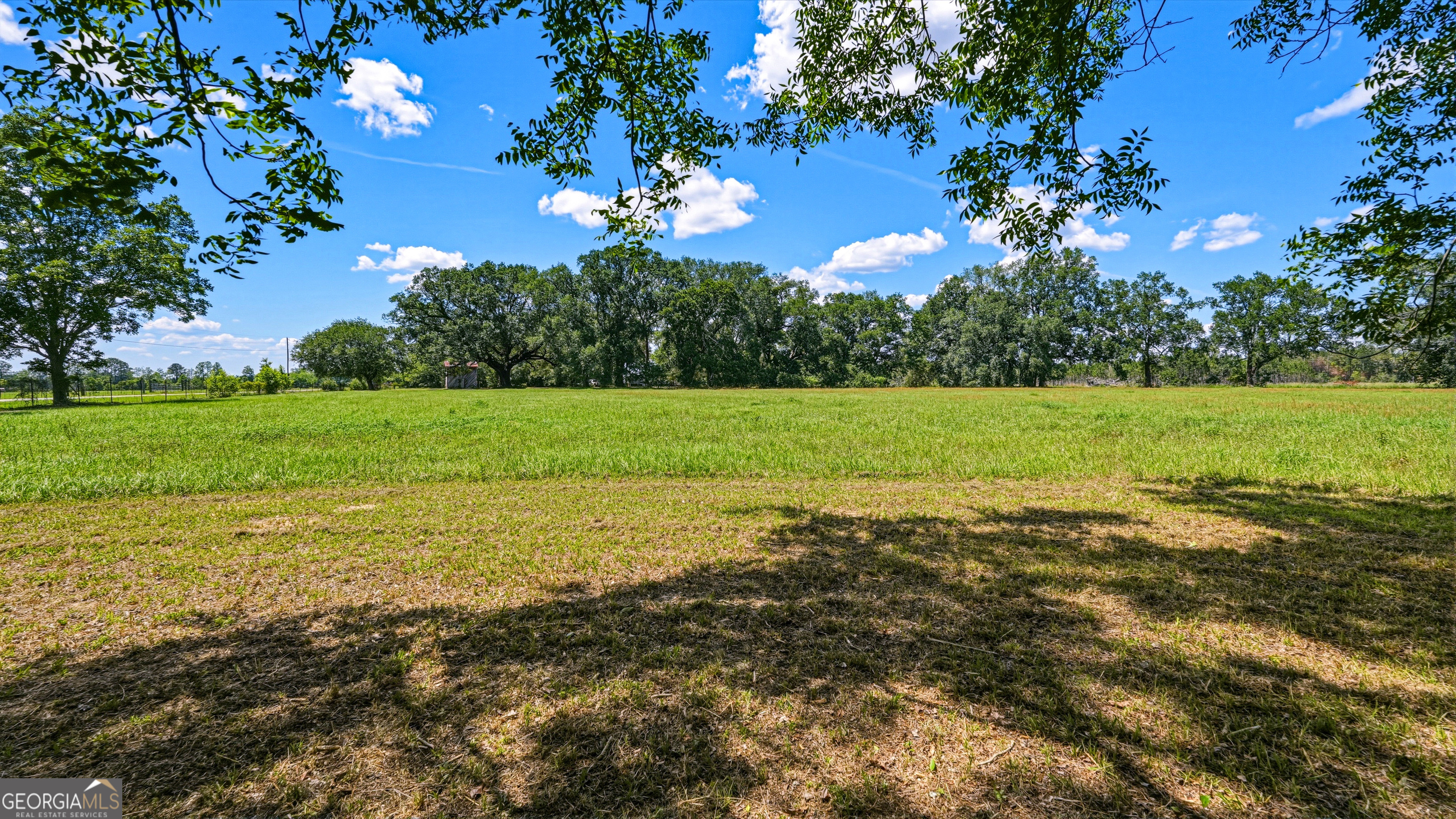 0 Ritch Church Road Screven, GA 31560 - Photo 40 of 43