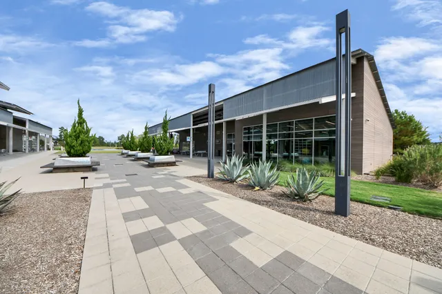 a view of path along with potted plants