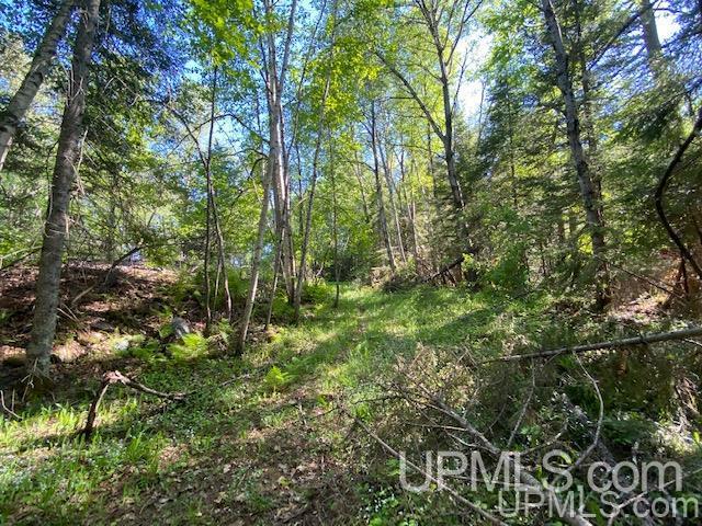 3980 County Road 476 Ishpeming, MI 49849 - Photo 36 of 37