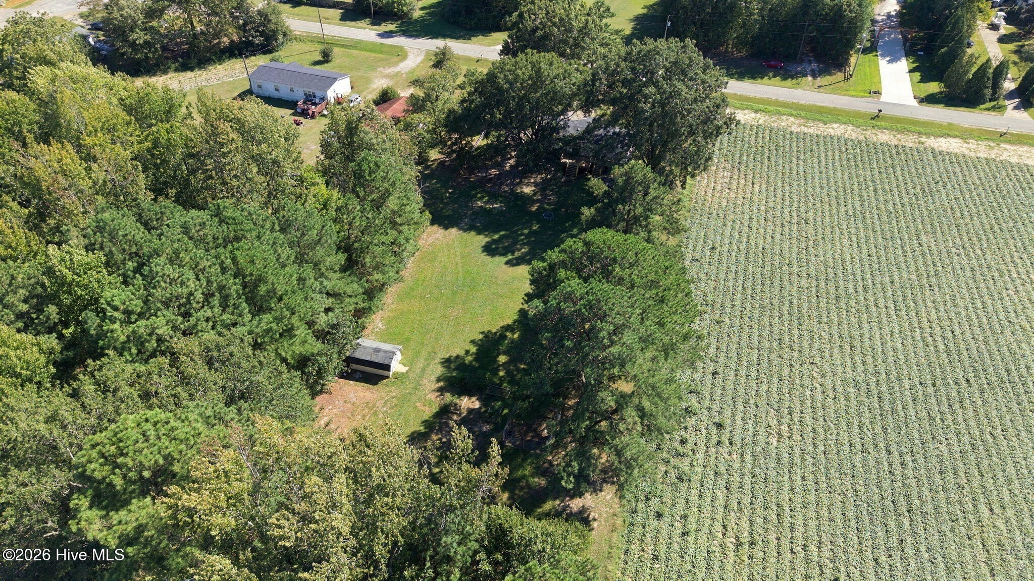 8320 Bunn Road Sims, NC 27880 - Photo 7 of 46 11-web-or-mls-DJI_20260927150101_0443_D