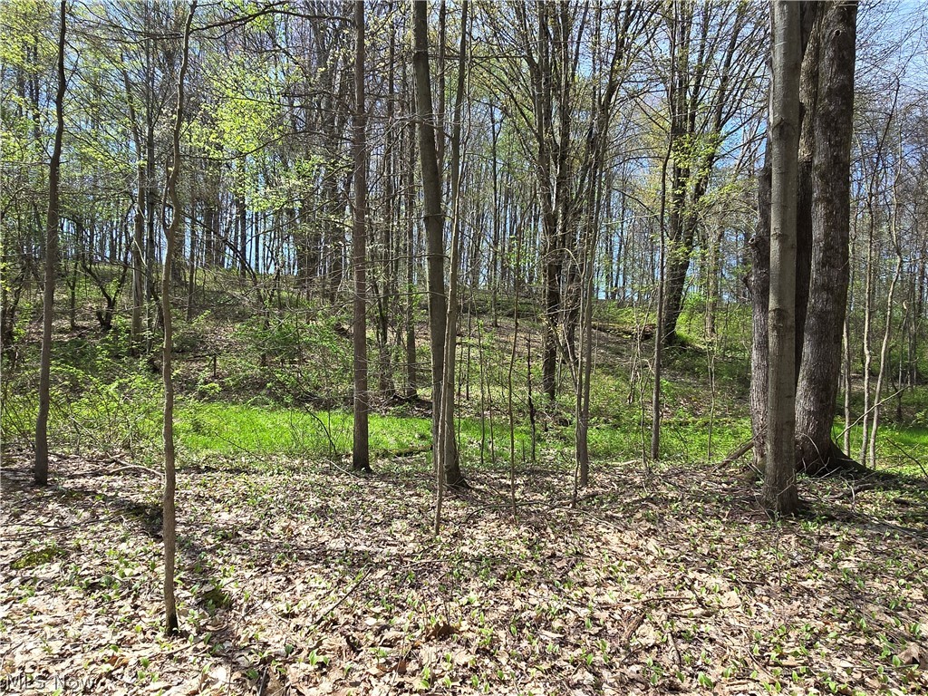Tische Road Jefferson, OH 44047 - Photo 5 of 21