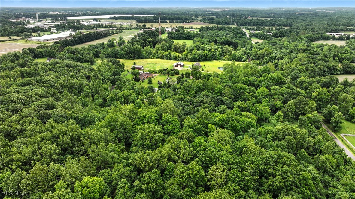 21251 Pitts Road Wellington, OH 44090 - Photo 6 of 14 Aerial overview of property's location