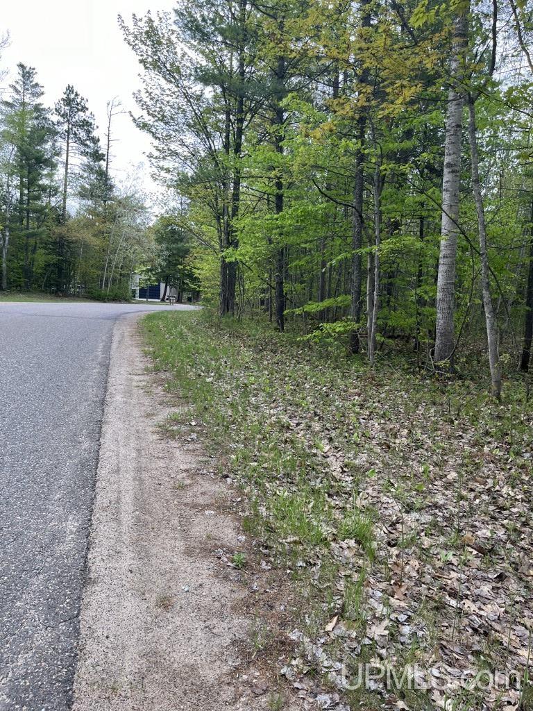 Lot 7 Powell Lake Road Wetmore, MI 49895 - Photo 6 of 16