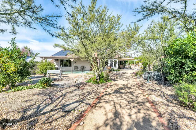 a view of a yard with plants and trees