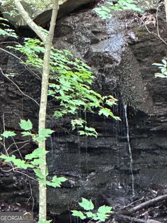 $41,950 | 1225-1227 Oglethorpe Road, Jasper, GA 30143