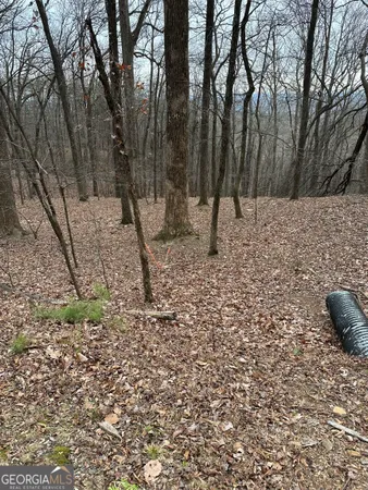 a view of outdoor space with lots of trees