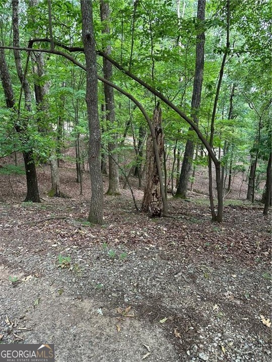 1225-1227 Oglethorpe Road Jasper, GA 30143 - Photo 24 of 66 a view of a outdoor space