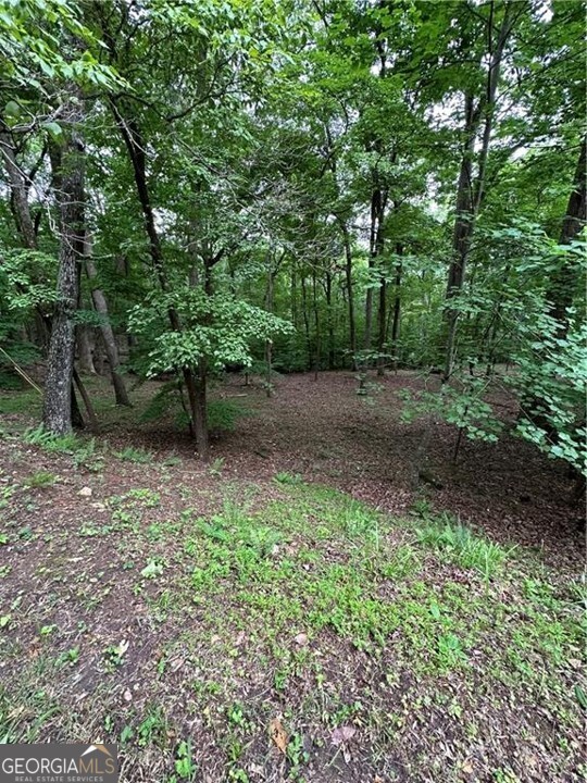 1225-1227 Oglethorpe Road Jasper, GA 30143 - Photo 28 of 66 a view of outdoor space and yard