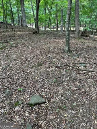 a big yard with lots of green space and deers