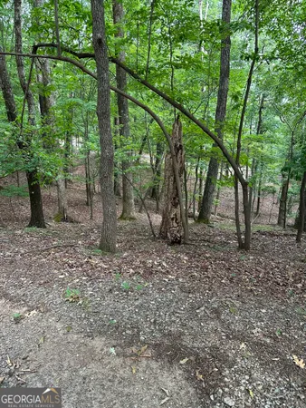 $41,950 | 1225-1227 Oglethorpe Road, Jasper, GA 30143