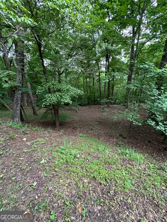 $41,950 | 1225-1227 Oglethorpe Road, Jasper, GA 30143