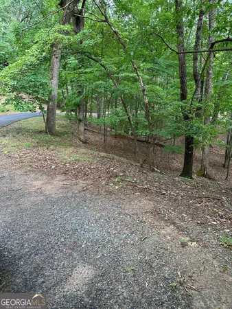 a view of a yard with plants and trees