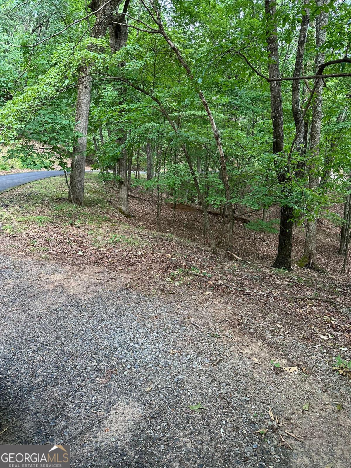 1225-1227 Oglethorpe Road Jasper, GA 30143 - Photo 7 of 66 a view of a yard with plants and trees
