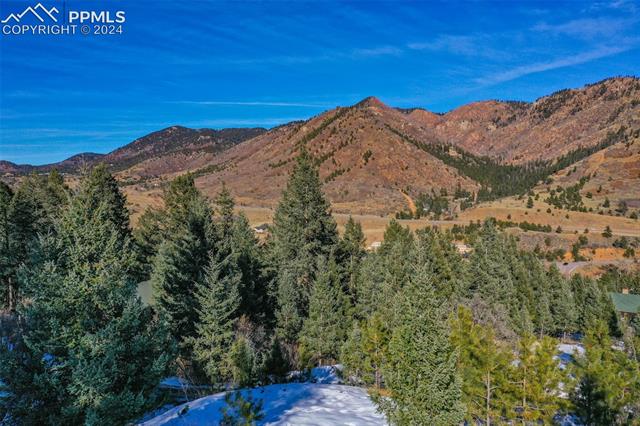Shoshone Road Cascade, CO 80809 - Photo 24 of 25