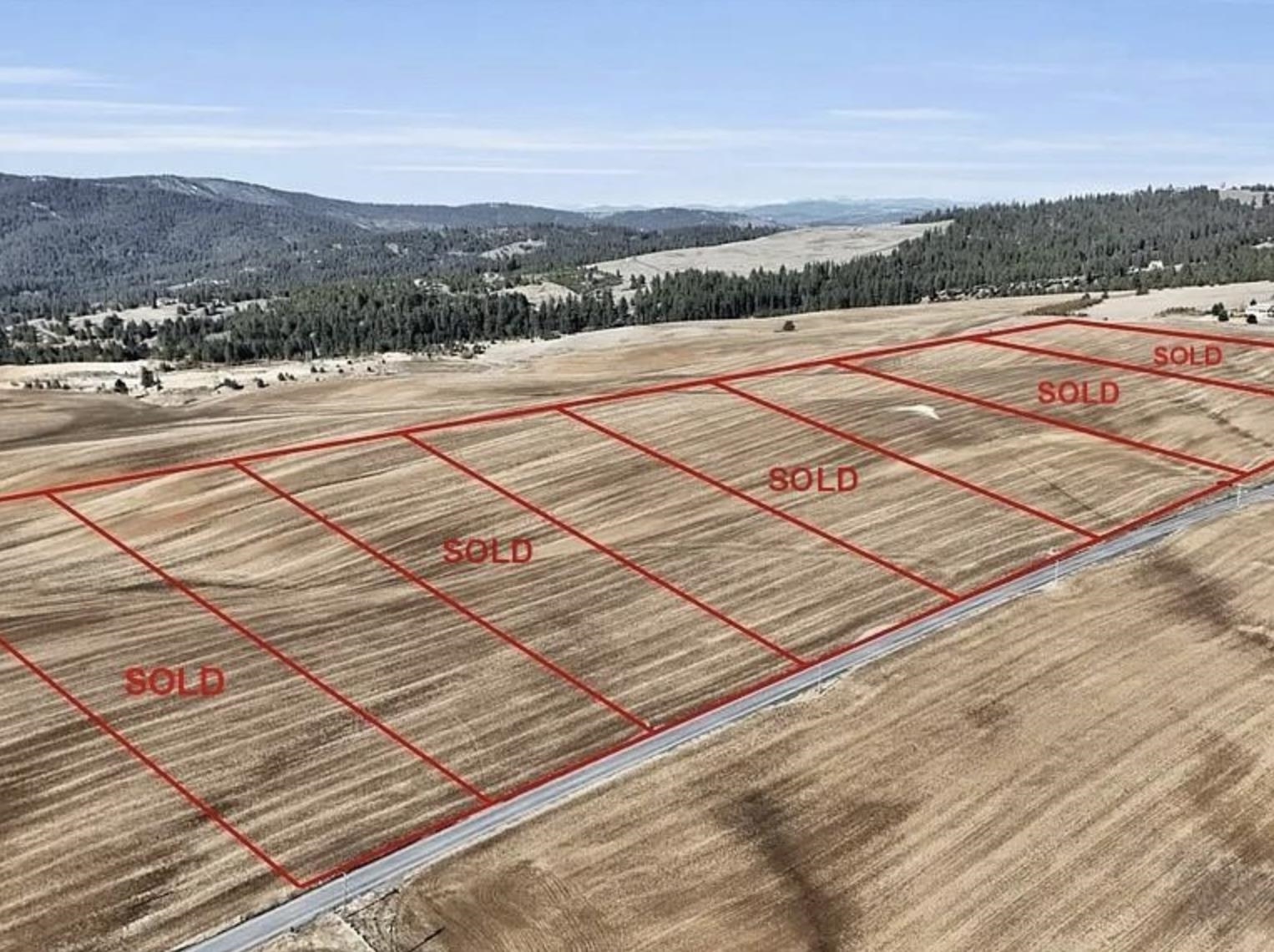 8006 South Jackson Road Mica, WA 99023 - Photo 5 of 7