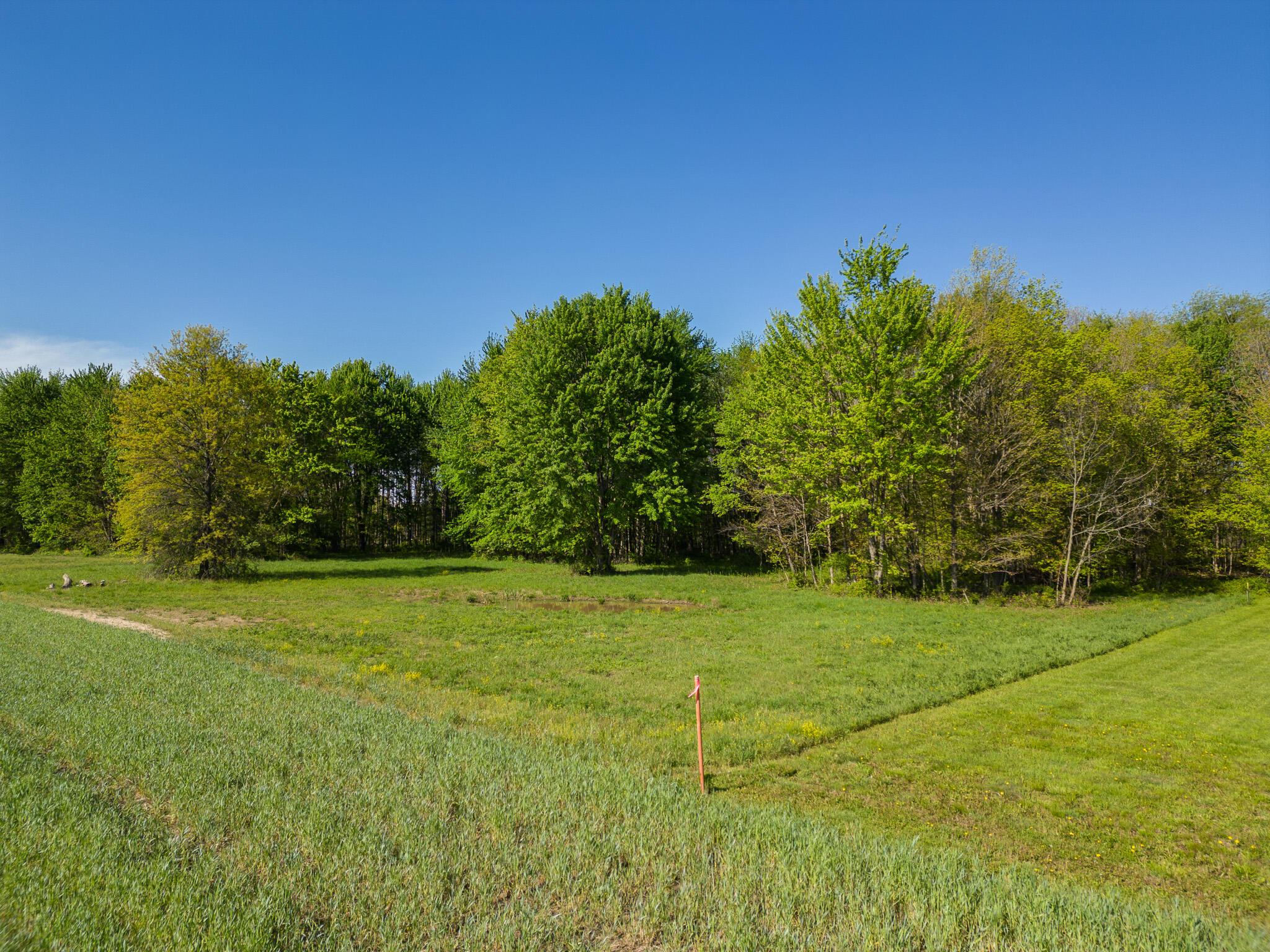 5387 Dildine Road Delaware, OH 43015 - Photo 33 of 37 52