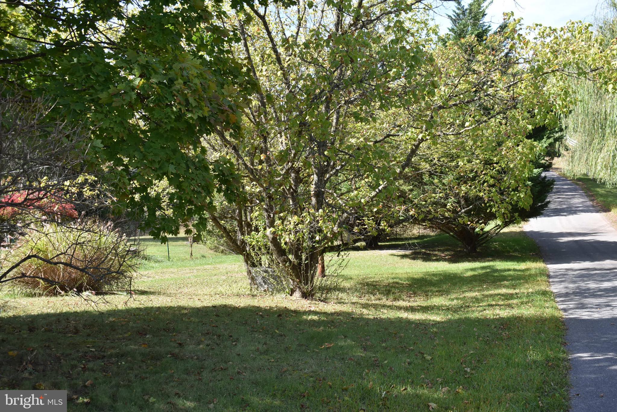1971 Duckwall Road Berkeley Springs, WV 25411 - Photo 11 of 64 a view of swimming pool with a yard