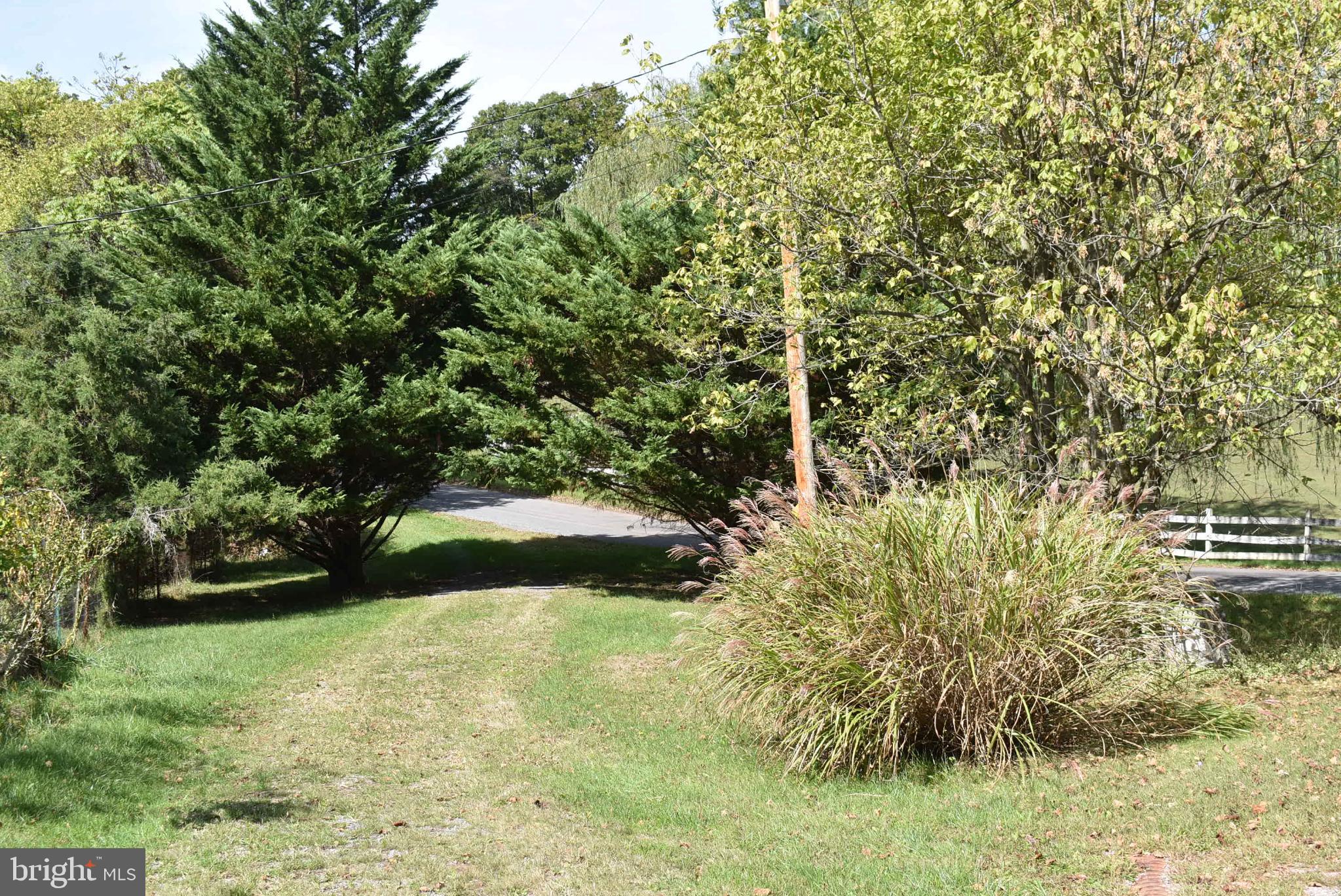 1971 Duckwall Road Berkeley Springs, WV 25411 - Photo 12 of 64 Serene pathway framed by lush greenery.