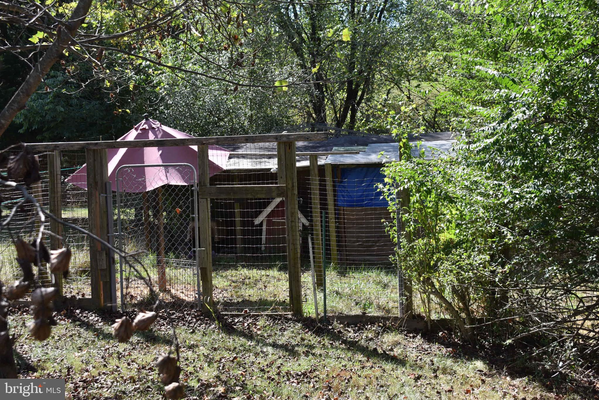 1971 Duckwall Road Berkeley Springs, WV 25411 - Photo 14 of 64 a front view of a house