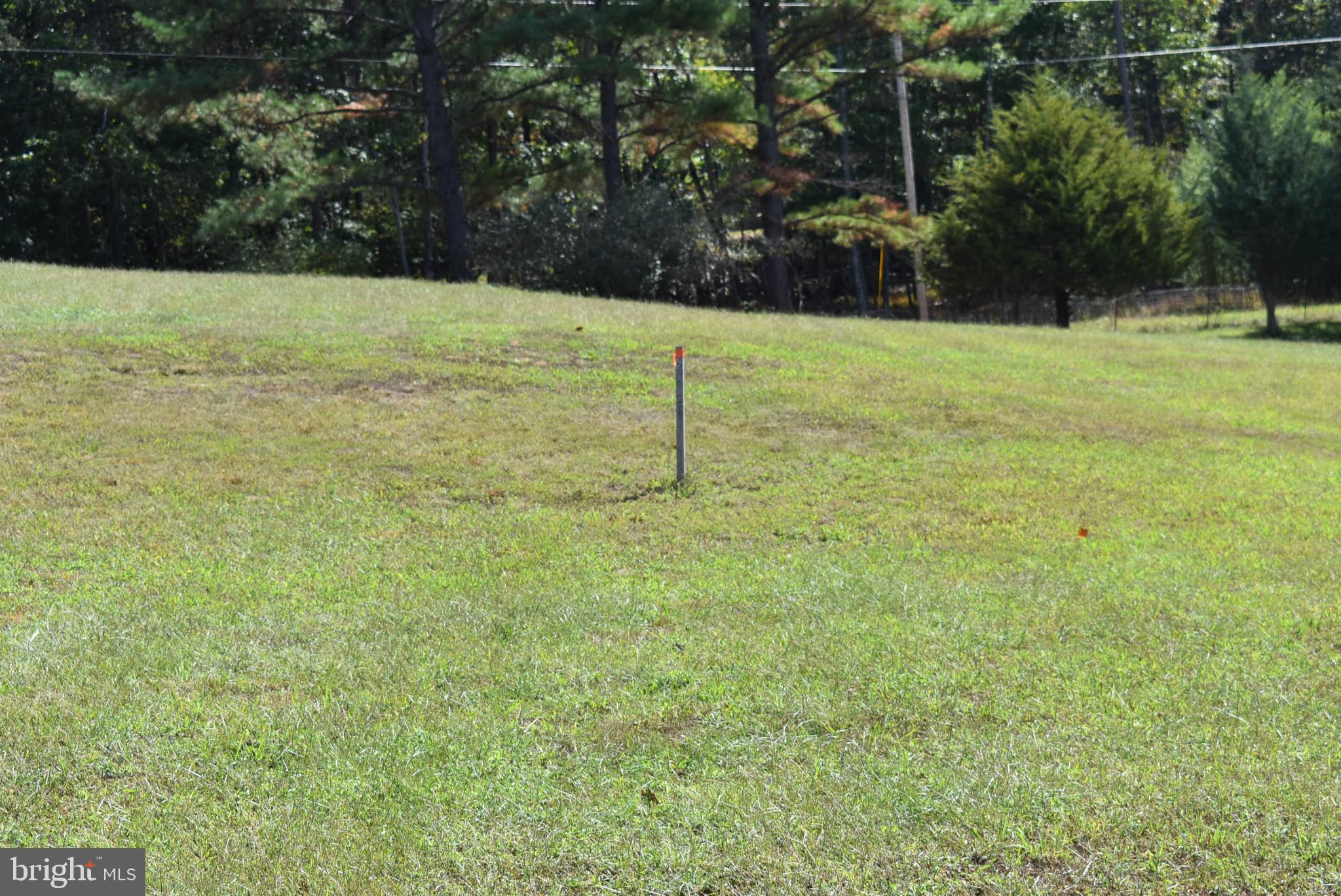 1971 Duckwall Road Berkeley Springs, WV 25411 - Photo 29 of 64 a view of a field with a tree