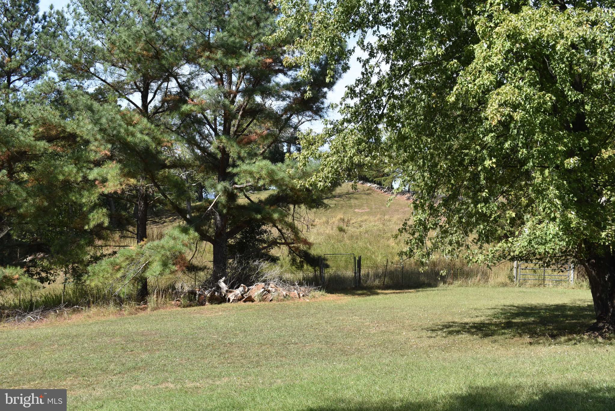 1971 Duckwall Road Berkeley Springs, WV 25411 - Photo 31 of 64 a view of a yard with a tree