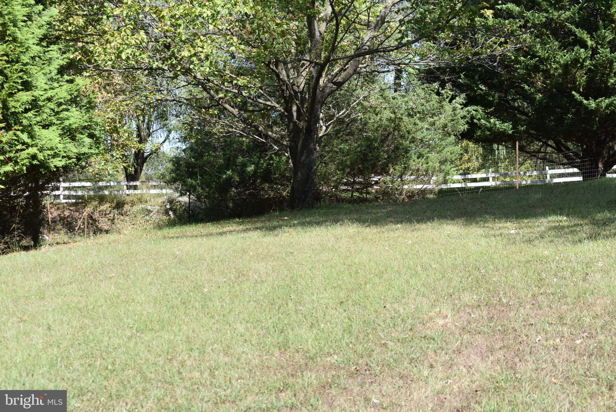 1971 Duckwall Road Berkeley Springs, WV 25411 - Photo 33 of 64 a view of a garden