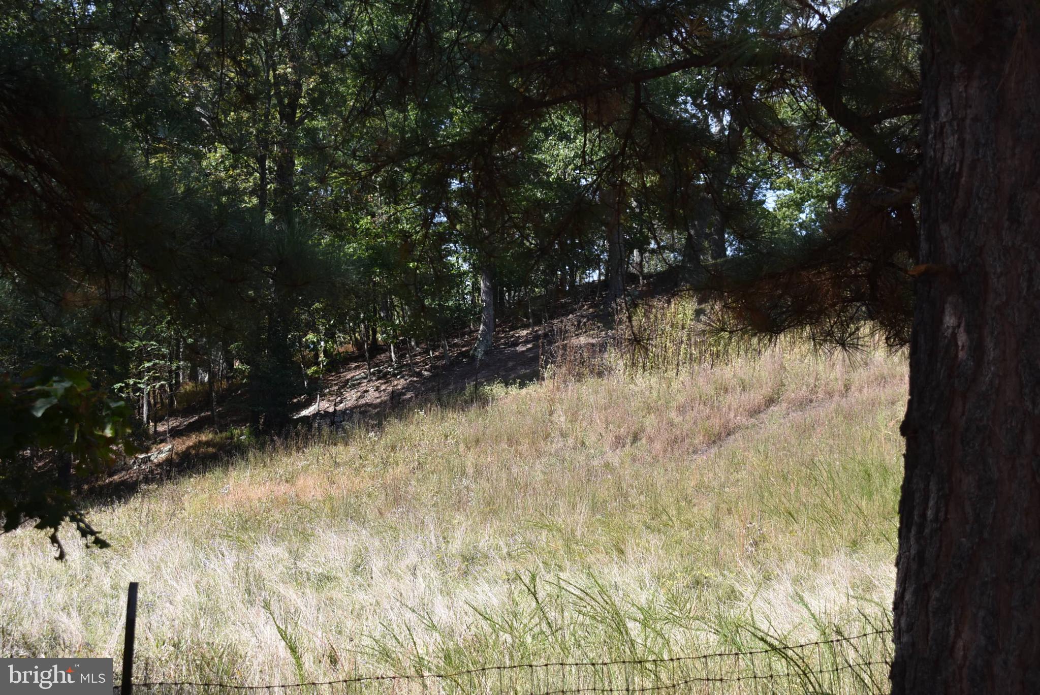 1971 Duckwall Road Berkeley Springs, WV 25411 - Photo 34 of 64 Serene hillside with lush greenery.