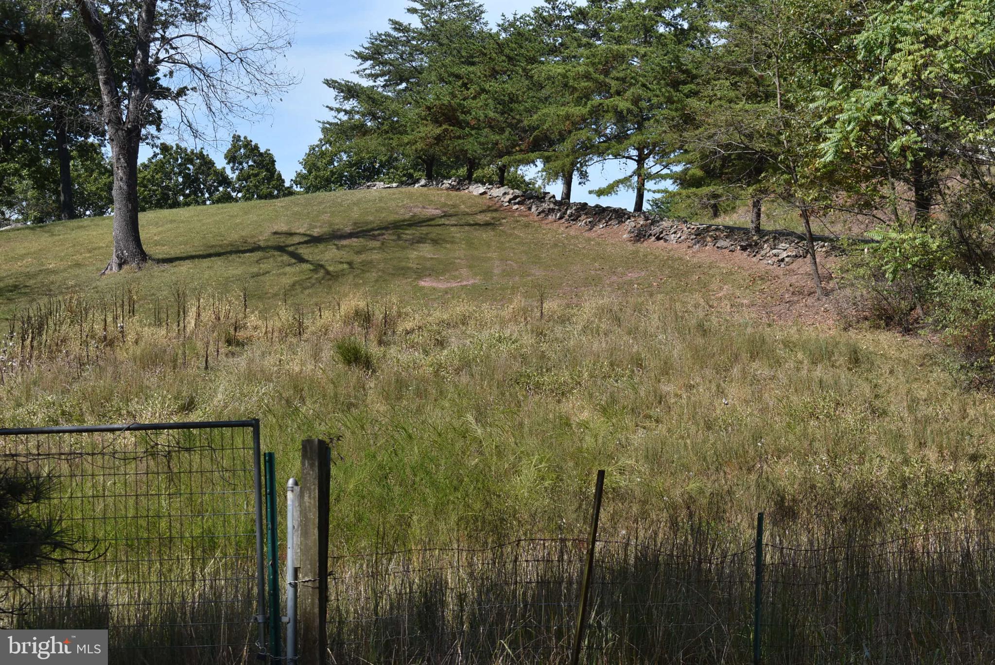 1971 Duckwall Road Berkeley Springs, WV 25411 - Photo 35 of 64 a view of a yard with a tree