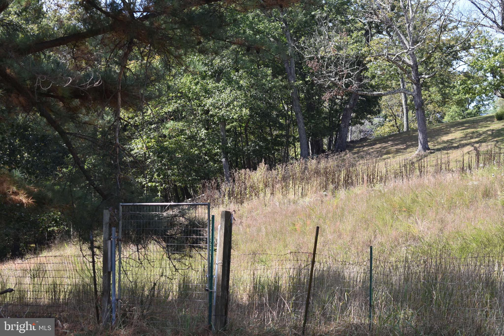1971 Duckwall Road Berkeley Springs, WV 25411 - Photo 38 of 64 a view of swimming pool next to a yard