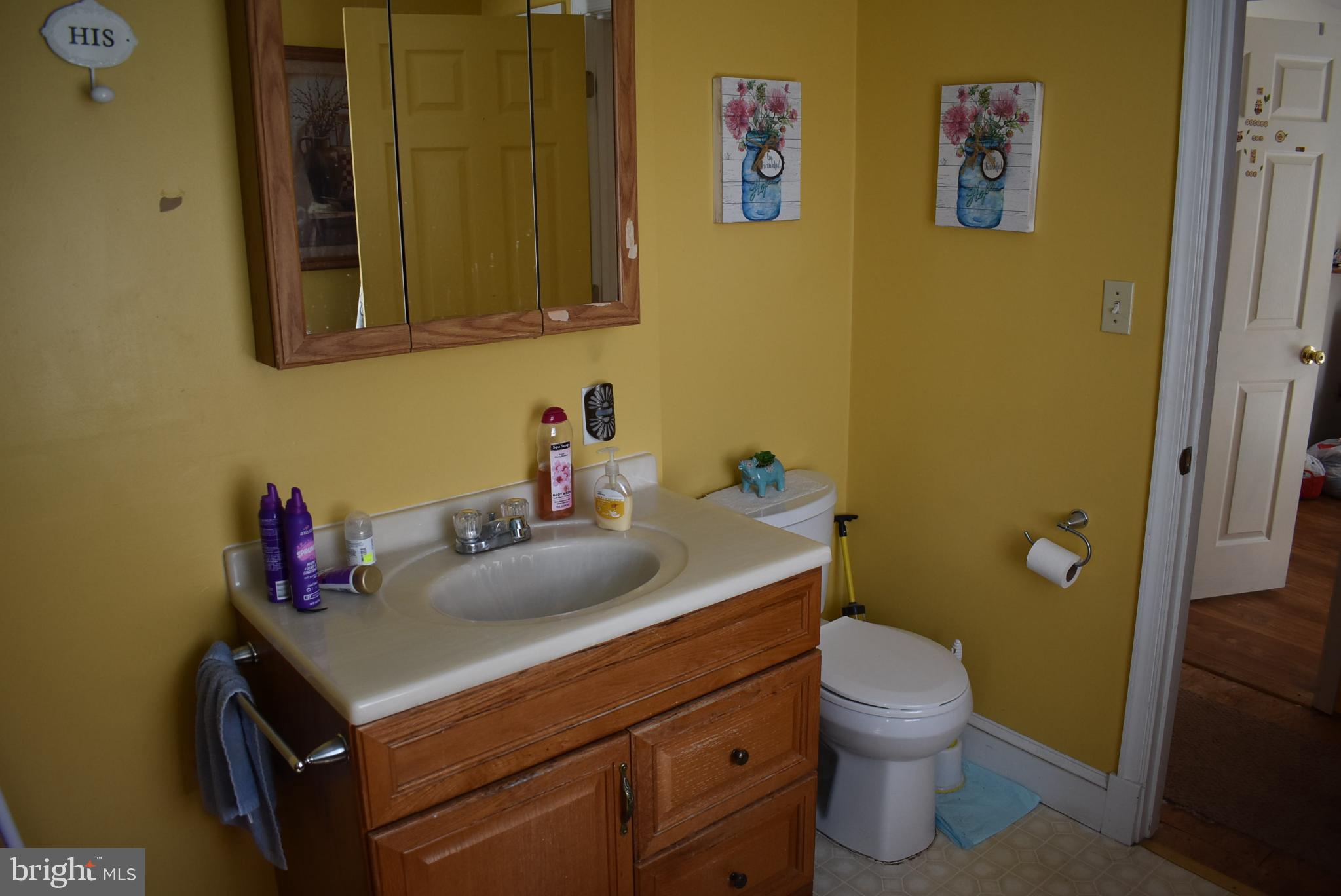 1971 Duckwall Road Berkeley Springs, WV 25411 - Photo 48 of 64 a bathroom with a sink and a toilet
