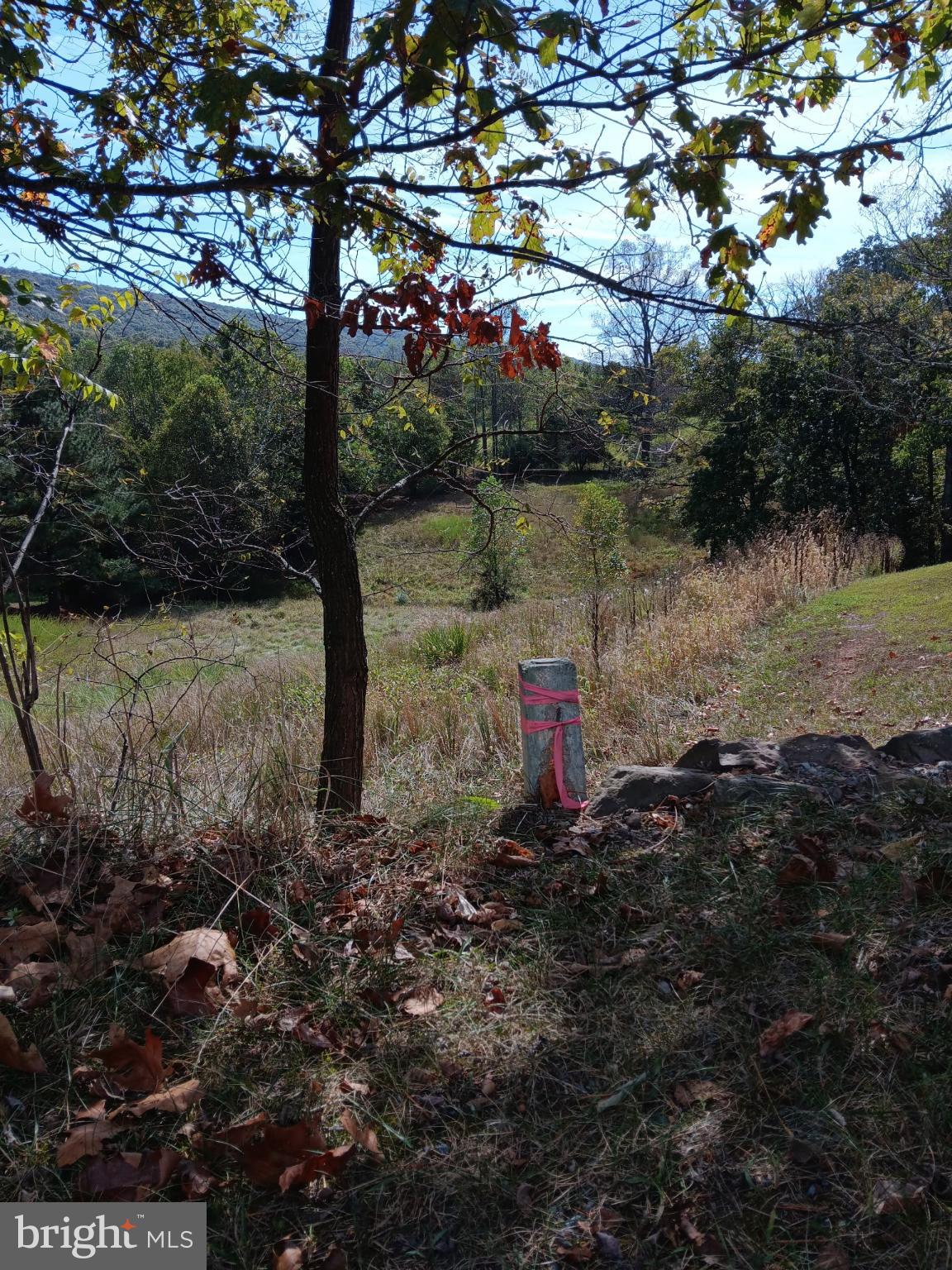 1971 Duckwall Road Berkeley Springs, WV 25411 - Photo 54 of 64 a view of a lake in between two trees
