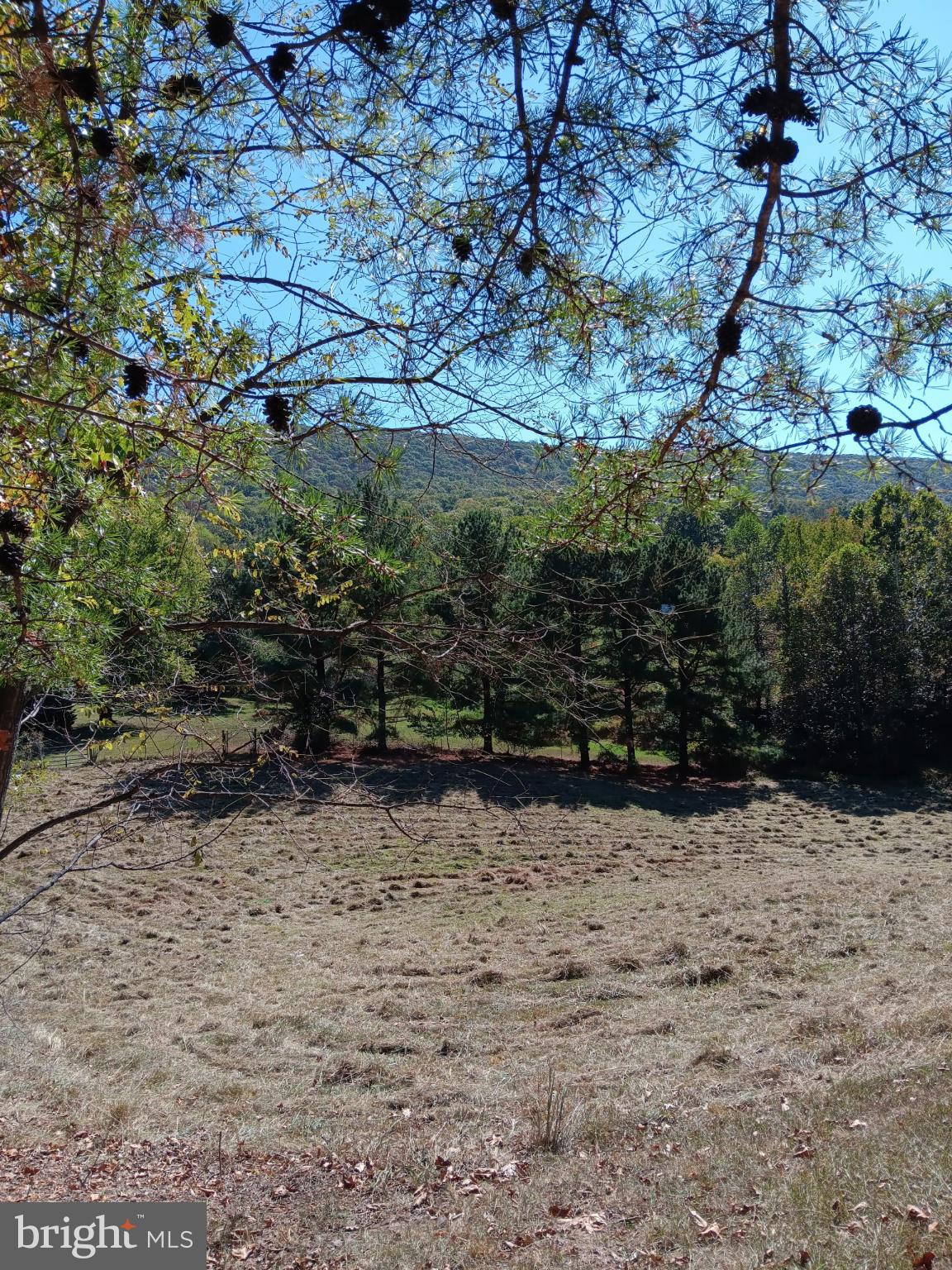 1971 Duckwall Road Berkeley Springs, WV 25411 - Photo 56 of 64 a view of side yard
