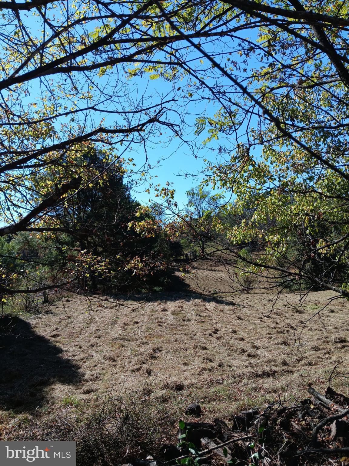 1971 Duckwall Road Berkeley Springs, WV 25411 - Photo 57 of 64 Two Acres
