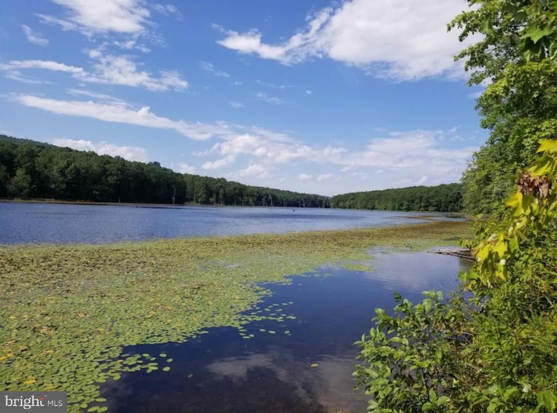 1971 Duckwall Road Berkeley Springs, WV 25411 - Photo 59 of 64 a view of an swimming pool and an outdoor seating
