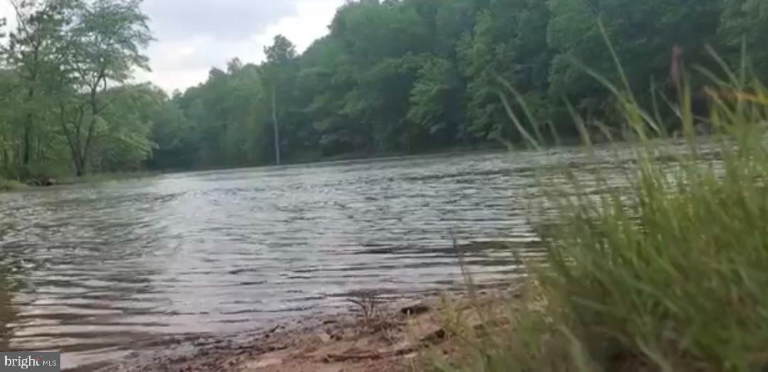 1971 Duckwall Road Berkeley Springs, WV 25411 - Photo 60 of 64 Sleepy Creek Management Area