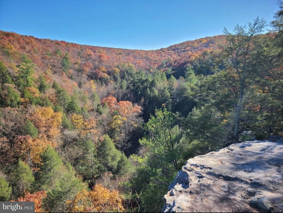 1971 Duckwall Road Berkeley Springs, WV 25411 - Photo 61 of 64 Sleepy Creek Management Area