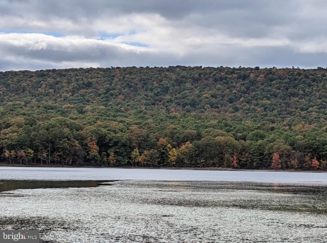 1971 Duckwall Road Berkeley Springs, WV 25411 - Photo 62 of 64 a view of a yard