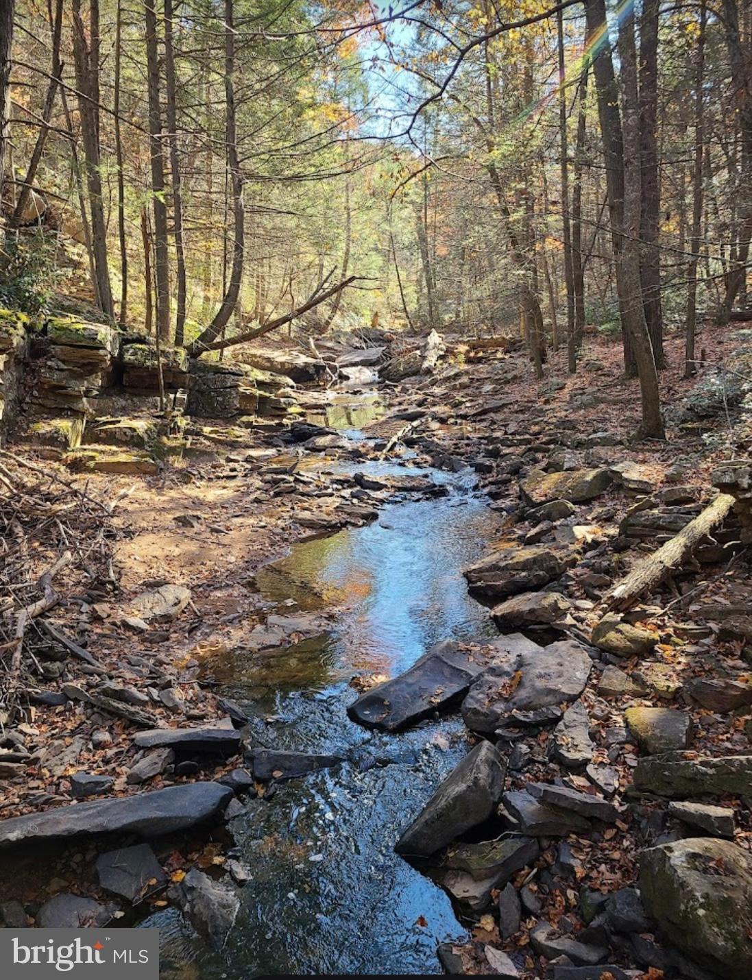 1971 Duckwall Road Berkeley Springs, WV 25411 - Photo 63 of 64 a view of lake