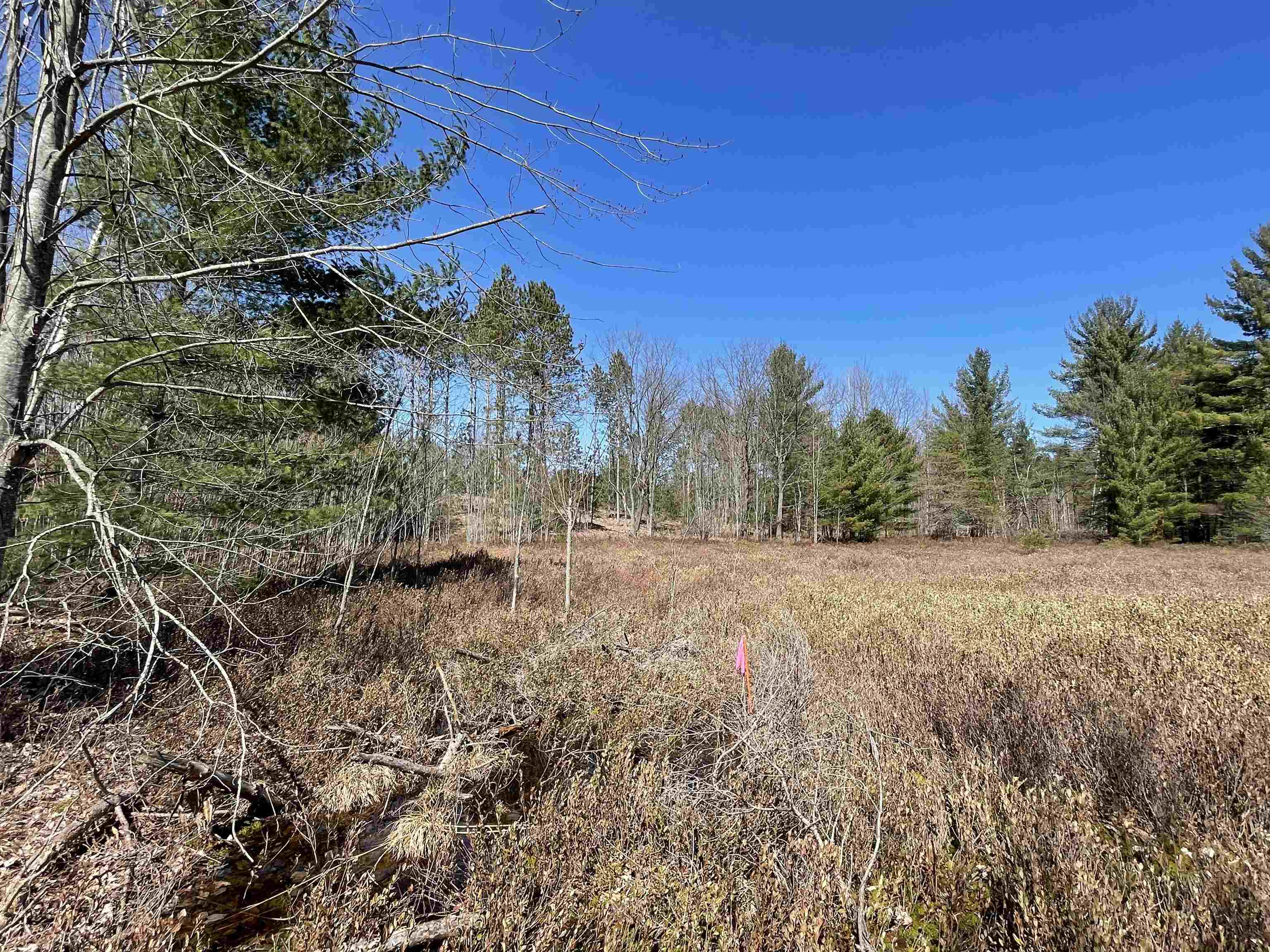 10-acres Niemi Road Kaleva, MI 49645 - Photo 8 of 24