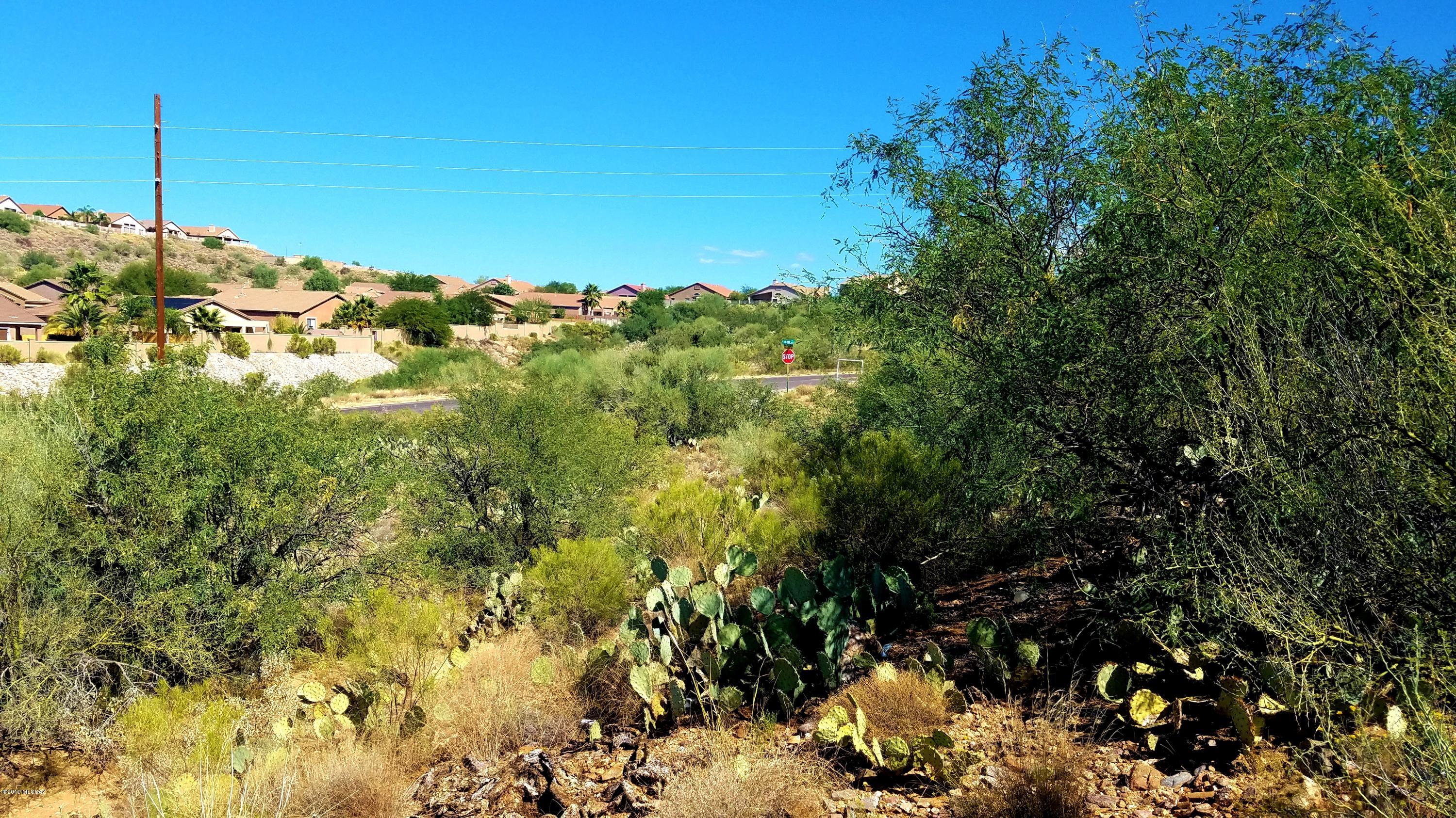 3520 East Edwin Road Tucson, AZ 85739 - Photo 3 of 10