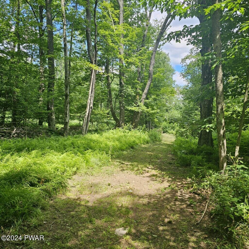 39 Boyds Mills Road Beach Lake, PA 18405 - Photo 36 of 44 Trails