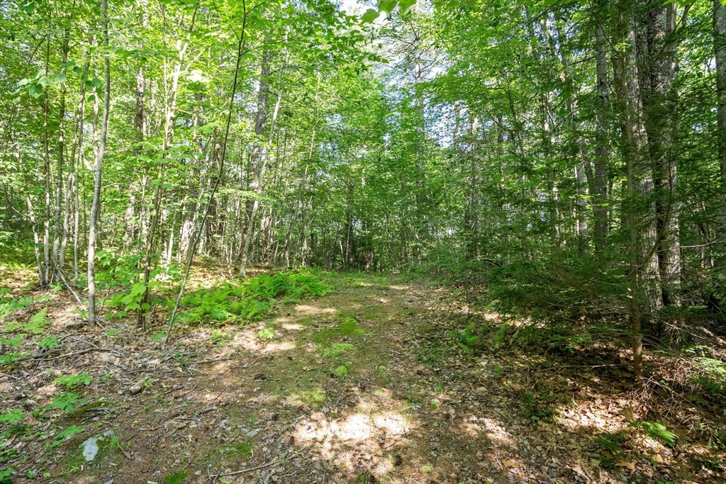 0 Ward Hill Road Phillipston, MA 01331 - Photo 7 of 9 Gallery Image 7